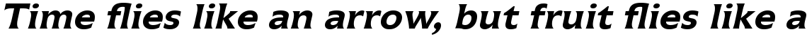 Icone Com 66 Bold Italic