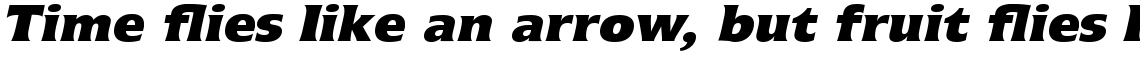 Icone Com 86 Extra Black Italic