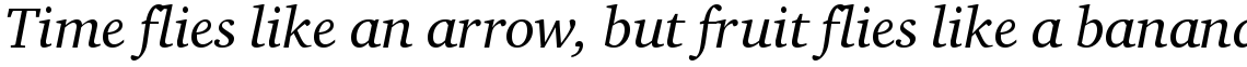 ITC Charter Com Regular Italic