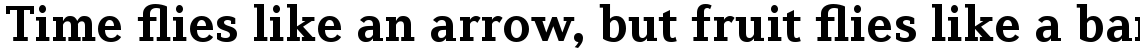 Diverda Serif Com Bold