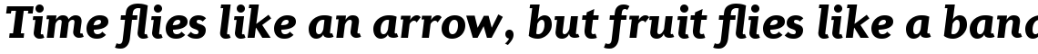 Diverda Serif Com Black Italic