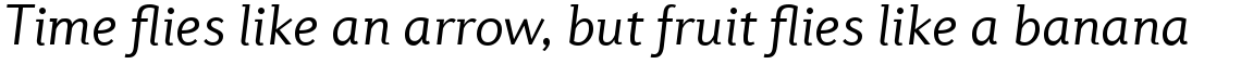 Diverda Sans Com Light Italic