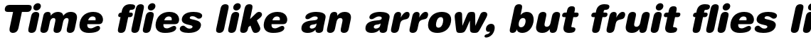 Helvetica Pro Rounded Black Oblique