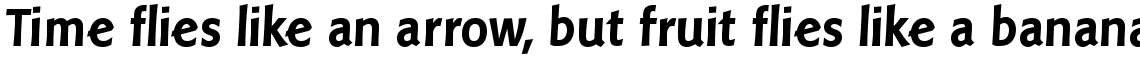 Linotype Pisa Com Bold