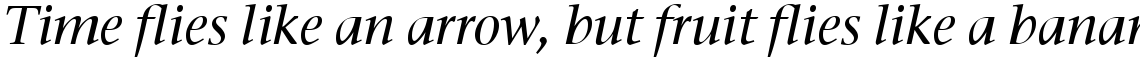 ITC Stone Serif Com Medium Italic