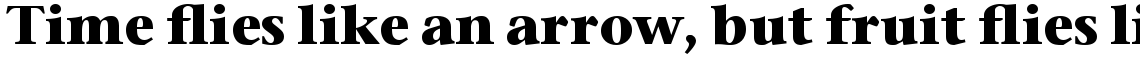 ITC Stone Serif Com Bold