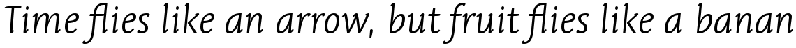 Linotype Syntax Letter Com Light Italic