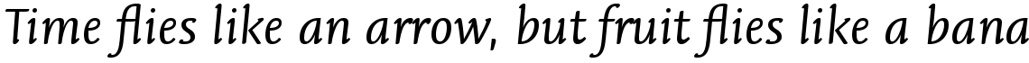 Linotype Syntax Letter Com Regular Italic