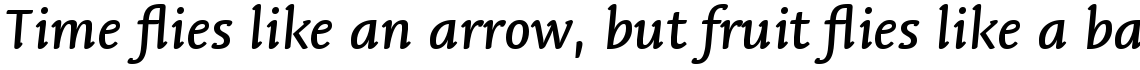 Linotype Syntax Letter Com Medium Italic