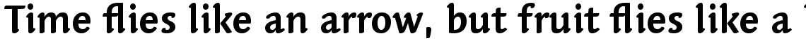 Linotype Syntax Letter Com Bold