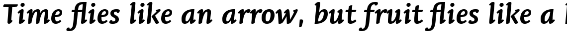 Linotype Syntax Letter Com Bold Italic