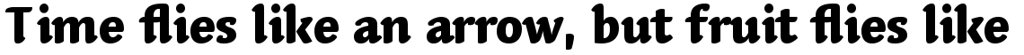 Linotype Syntax Letter Com Heavy