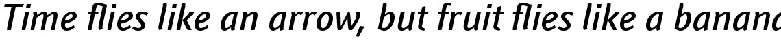 Linotype Textra Com Medium Italic