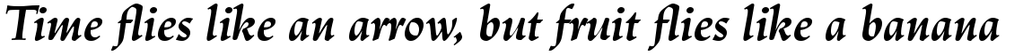 Linotype Trajanus Com Bold Italic