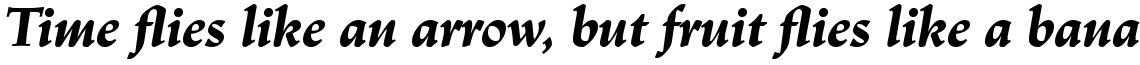 Linotype Trajanus Com Black Italic
