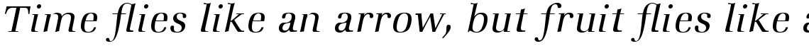 ITC Zapf Book Com Light Italic