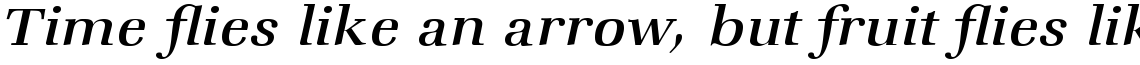 ITC Zapf Book Com Medium Italic