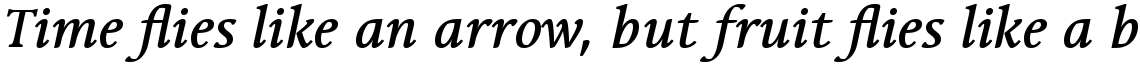 Linotype Syntax Serif Com Medium Italic