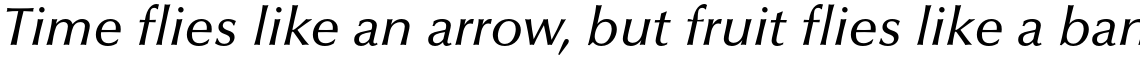 Optima Pro Medium Italic