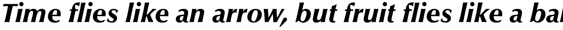 Optima Pro Black Italic