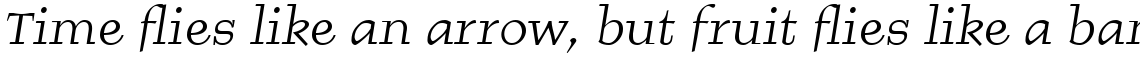 Burgstaedt Antiqua Com Italic