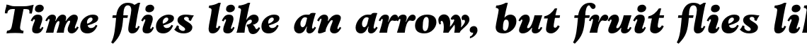 Minister Std Black Italic