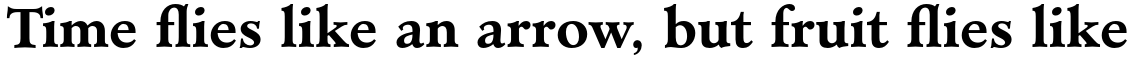 Minister Std Bold