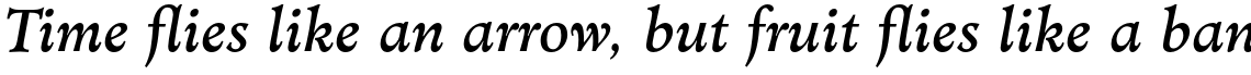 Minister Std Book Italic