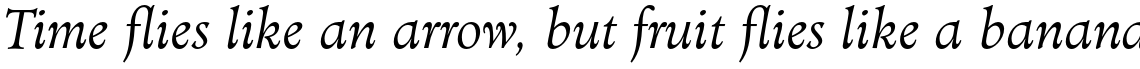 Minister Std Light Italic
