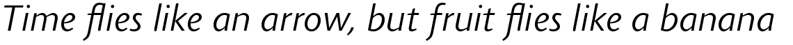 Agilita Com Light Italic