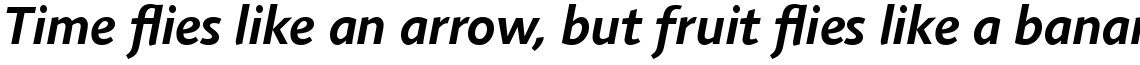 Agilita Com Bold Italic