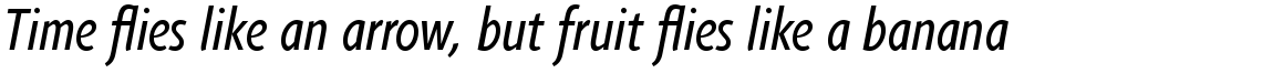 Agilita Com Condensed Italic