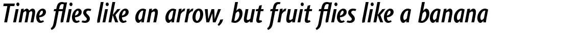 Agilita Com Condensed Medium Italic