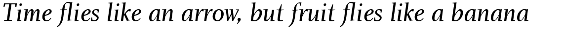 Charlotte Serif Com Book Italic