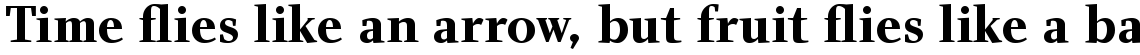 Charlotte Serif Com Bold