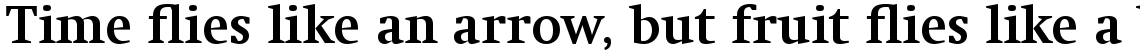 Swift Com Bold