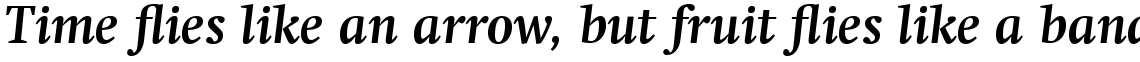 Swift Com Bold Italic