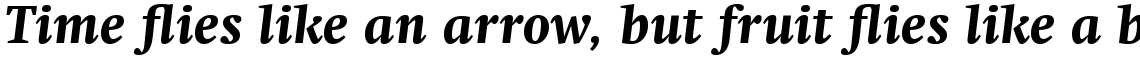 Swift Com Heavy Italic
