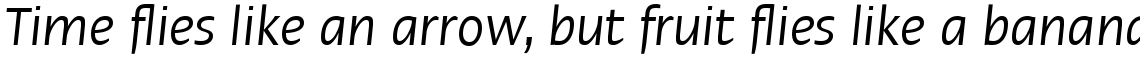 Linotype Ergo Com Condensed Italic