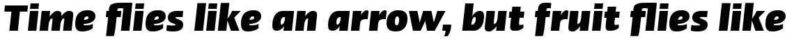 Linotype Ergo Com Black Condensed Italic