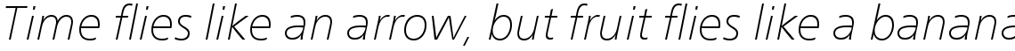 Neue Frutiger Com Thin Italic