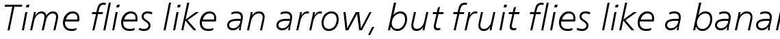 Neue Frutiger Com Light Italic