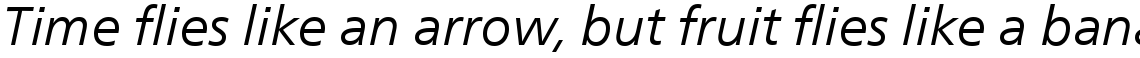 Neue Frutiger Com Book Italic