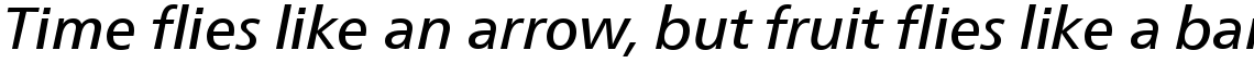 Neue Frutiger Com Italic