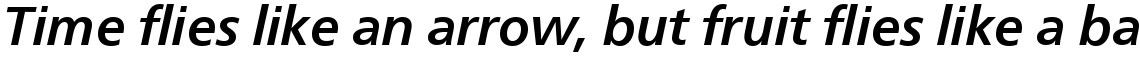 Neue Frutiger Com Medium Italic