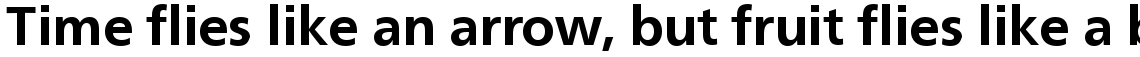 Neue Frutiger Com Bold