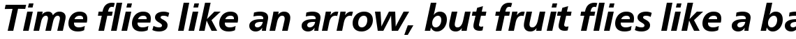 Neue Frutiger Com Bold Italic