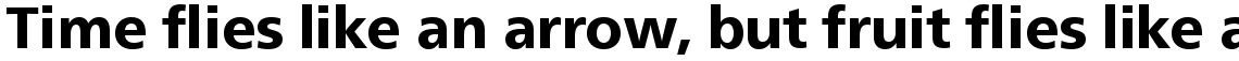 Neue Frutiger Com Heavy