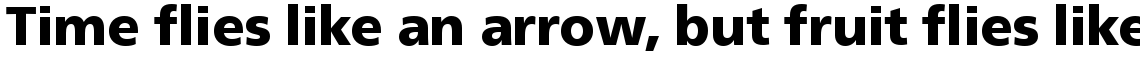 Neue Frutiger Com Black
