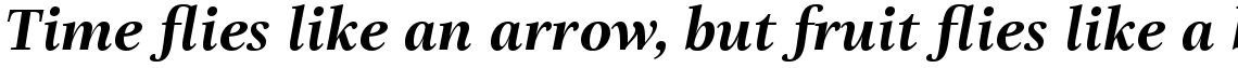 Really No 2 Bold Italic